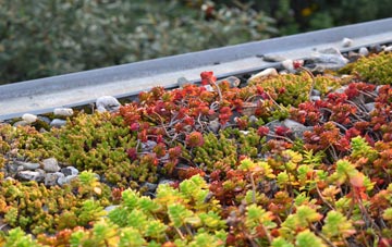 the cost of Shilbottle green roof installation